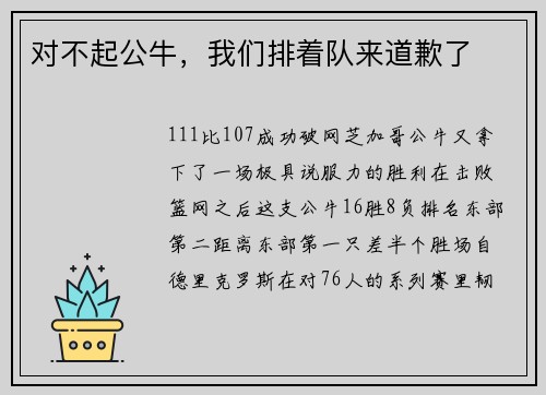 对不起公牛，我们排着队来道歉了